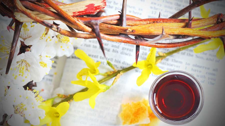 The Importance of Communion - iDisciple